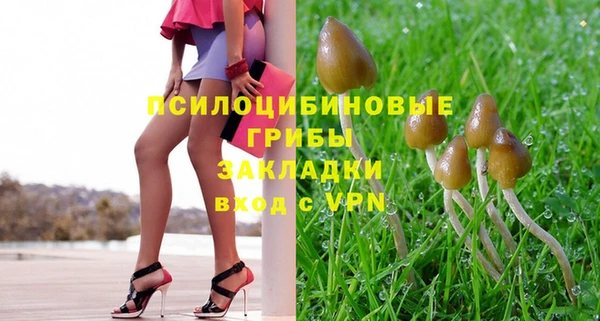 ПСИЛОЦИБИНОВЫЕ ГРИБЫ Зерноград