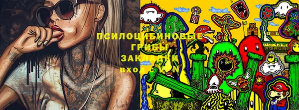 ГАЛЛЮЦИНОГЕННЫЕ ГРИБЫ Зеленокумск